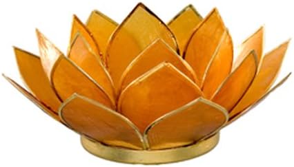 Amber Capiz Shell Lotus Flower Tea light Holder with Free Candle