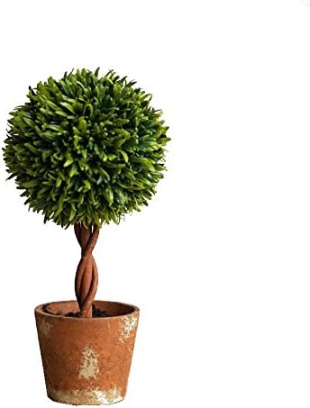 Amazon Kaimo 観葉植物 インテリア トピアリー 人工 プリザーブドトピアリー プリザーブドグリーン プリザーブドフラワー ボ ギフト プレゼント お祝い ギフト ボックスウッドトピアリー Ball Size S 人工観葉植物 オンライン通販