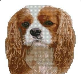 King Charles Spaniel 4 Counted Cross Stitch Kit 10 x 9.5 by CrossStitchKitsOnline