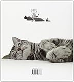 Image de Il mio gatto ha sempre ragione