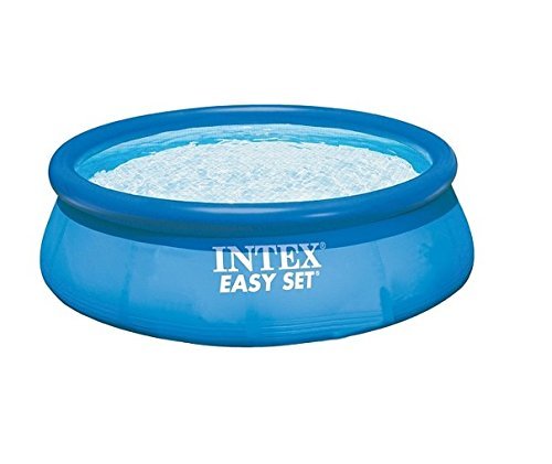 Intex Pool 10 Ft. X 30 In. 1081 Gal 530 Gal