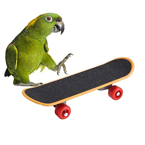 Interactive Pet Bird Skateboard Toy, Funny Training Parrot Toys with Standing Perch, Educational Cockatiel Stand for Small Conures, Birds, Indoor Play and Mental Stimulation