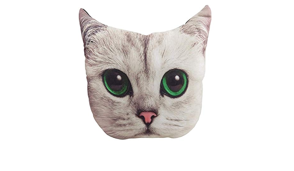 daiso cat pillow