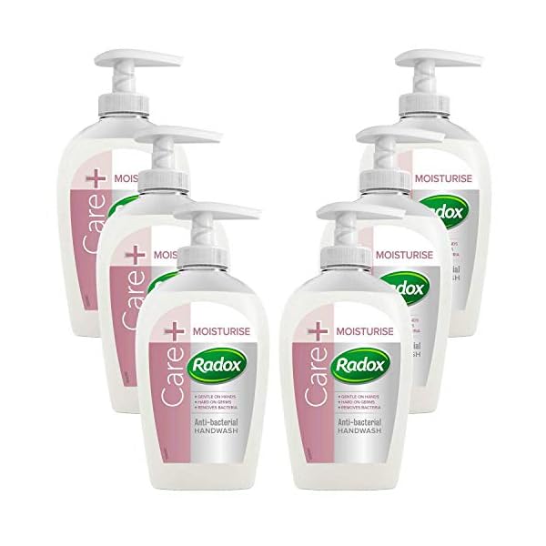 Radox-Hand-Wash-Pack-of-6-Cleansing-Hand-Wash-that-Protects-Hands-Antibacterial-Soap-with-Added-Moisturisers-Gentle-Hand-Soap-Hand-Wash-CareMoisturise-6-Pack-250ml-Hand-wash-Dispenser Radox Hand Wash Pack of 6, Cleansing Hand Wash that Protects Hands, Antibacterial Soap with Added Moisturisers, Gentle…