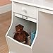 Sauder Pogo Kids Desk with Drawer and Toy Storage Bin, 19.37