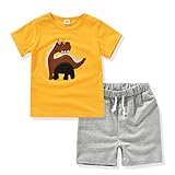 AJia Kids 2 Piece Short Sleeve Shirt and Shorts for 1 to 5 Years Olds Little Boy (2t, Yellow)