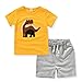 Kids Boys 2 Piece Short Sleeve Tshirt Shorts Set Outfits 1 to 5 Age Baby