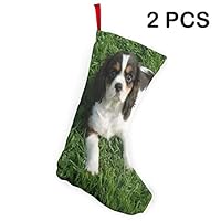 Ladninag Christmas Stockings Cavalier King Charles Spaniel Puppies Cute Inspiring Christmas Party Socks