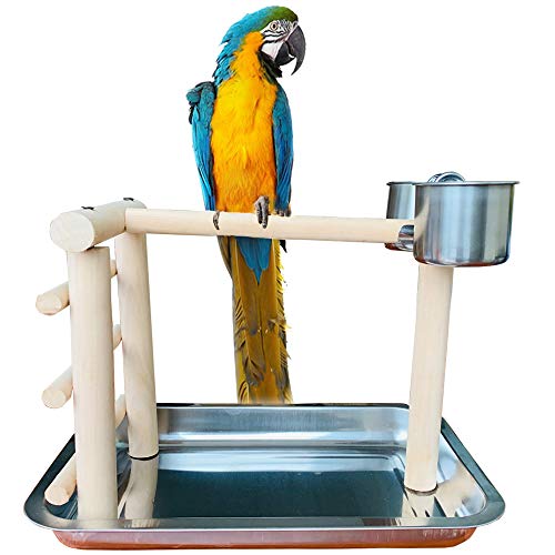 PINVNBY Parrot Perch Wood Training Stand Table Top Bird Playground Play Gym Playpen Ladders with Stainless Steel Feeders and Tray for Small Medium Parrot Budgies Parakeet Cockatiel Cockatoo Conure