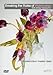 Breaking the Rules of Watercolour (DVD) with Shirley Trevena