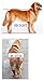 Adjustable Dog Wheelchair (L Size), for Big Dog, Hip Height 20