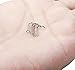 Jstyle 20G 8 Pcs Stainless Steel Nose Rings Studs Screw Piercing Body Jewelry 1.5mm 2mm 2.5mm 3mm