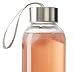Seacoast - 18 OZ. Glass Bottles, 18/10 Stainless Steel Cap with Easy to Carry Loop (6 Pack, 4 Pack, 2 Pack Available) (6)