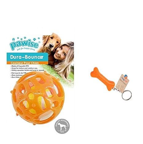 PAWISE Juguete Dura Bouncer En Forma de Pelota, 8 cm: Amazon.es ...