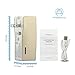 PISEN 2-in-1 Portable Charger - Battery Pack with Foldable AC Plug - 5000mAh Power Bank for iPhone, iPad, Android, Tablets, Samsung Galaxy and More (Gold)