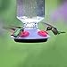 Perky-Pet 9101-2 Lavender Field Top-Fill Glass Hummingbird Feeder Purple 16 oz Capacity