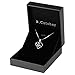 B.Catcher Necklace Silver Jewelry for Women You are The Apple of My Eye Cubic Zirconia Heart Pendant with Chain