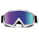 UV Protection Windproof DustProof Snowboard Skate Motorcycle Ski Goggles with PC Lens for Winter Sports