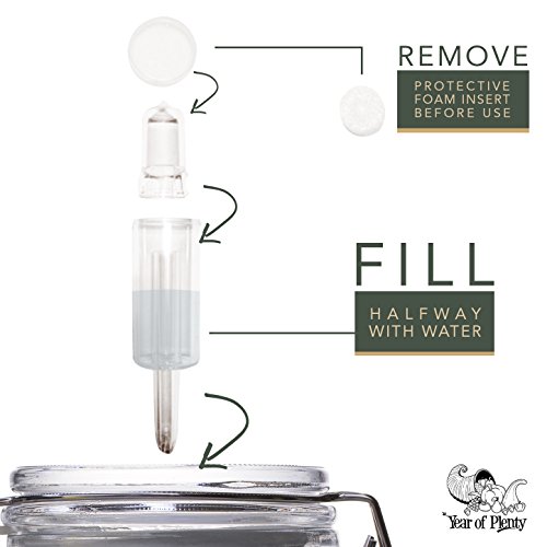 3 Year+Plenty+BPA+Free+Airlocks+Fermentation