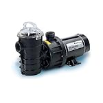Pentair DYNII-NI-1 HP Dynamo Single Speed Aboveground Pool Pump with Cord, 1 HP