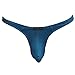 COSOMALL Men's Sexy Thongs Low Rise Underwear Ice Silk Briefs (L, Blue)
