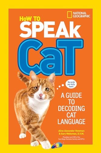 How to Speak Cat: A Guide to Decoding Cat Language (NGK How to