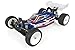 Team Associated RC10B6.1DL 2WD Electric Buggy Team Kit Limited Edition, ASC90021L