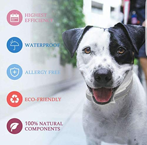 image for Maxtry 2 Pack Flea and Tick Control Adjustable Waterproof Collar Prote