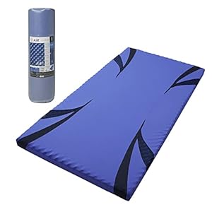 西川 (Nishikawa) [エアー 01] マットレス シングル 高反発 通気性 快眠サポート 厚さ8cm HC09401631B