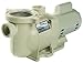 Pentair 340042 SuperFlo High Performance Energy Efficient Two Speed Pool Pump, 1 Horsepower, 230 Volt, 1 Phase - Energy Star Certified