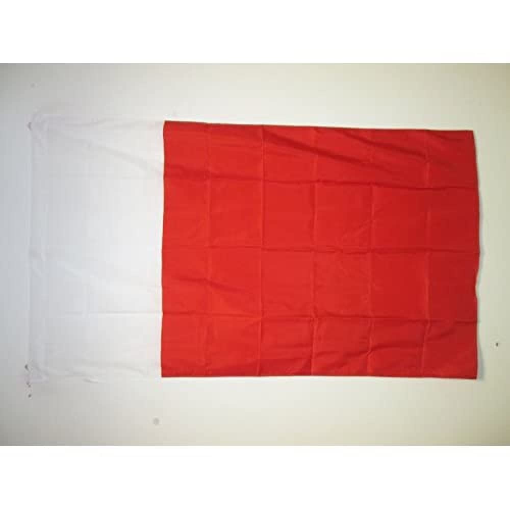 AZ FLAG - Dubai Flag - 2x3 Ft - UAE Emirate of Dubai Banner with Sleeve - 100% Polyester - Fade Resistant - Vivid Colors - 2' x 3' Feet - 90x60 Cm