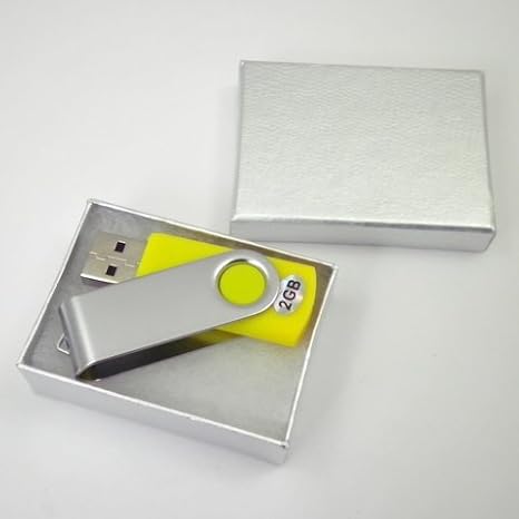 2 GB Memoria USB TWISTER en caja regalo - amarillo: Amazon.es: Informática