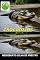 Livro Crocodilos
