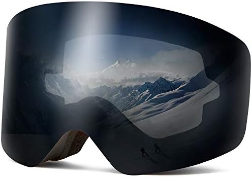 ski goggles with interchangeable lenses