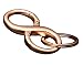Lebeyo 8 Shaped Business Premium Car Key Ring Chain Keychain Keyholder Organizer Buckle Clip with Detachable Loop(LB-KH-02, Rose Gold)