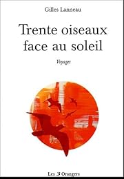 Trente oiseaux face au soleil