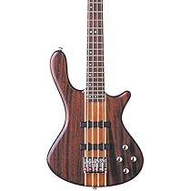 Washburn Taurus 5-String Bass (Natural Matte) with GB6 Gig Bag.
