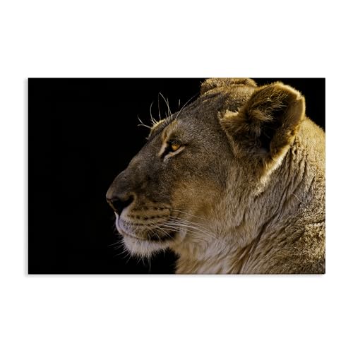 Stupell Industries Fierce Lion Looking Left Canvas Wall Art Design by Danita De…