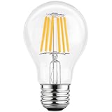 LETO A19 6W LED Dimmable Filament Edison Style Light Bulb,UL Listed,60W Equivalent, Soft White 2700k ,E26 Base 1-Pack