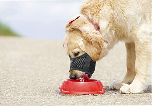 image for Barkless Nylon Dog Muzzle - Anti-Biting Barking Secure Fit Dog Muzzle 