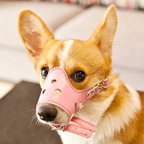 pink dog muzzle