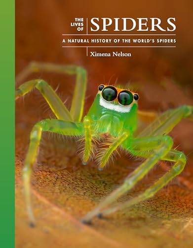 Amazon.com: Biology of Spiders: 9780199734825: Foelix, Rainer: Books
