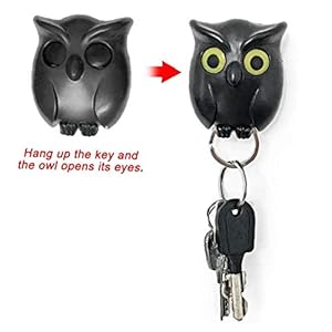 Lankater Night Owl Keyring Halter Kühler Home Decor Ungewöhnliche Wanddekoration (schwarz)