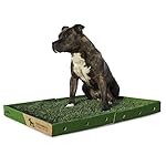 GreenInBox XL - Lettiera in Vera Erba