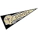 New Orleans Saints Official 30 inch Large Pennant