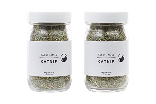 Tabby James Organic Catnip | Fresh Catnip | Made in USA | 100% Organic | Pack of Two 0.5 oz Bottles | Comes in Airtight Container | Promotes Exercises | Provides Relaxation to Your Cat | Catnip Treat (Best Catnip To Smoke)