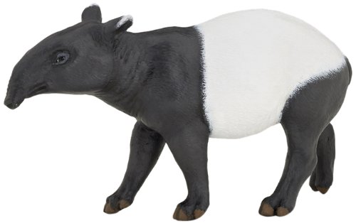 Tapir