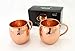 Set of Two 16 Oz Copper Mugs | 100% Pure Copper Handcrafted into the Perfect Hammered Barrel Style Moscow Mule Cup by Trifecta Barware