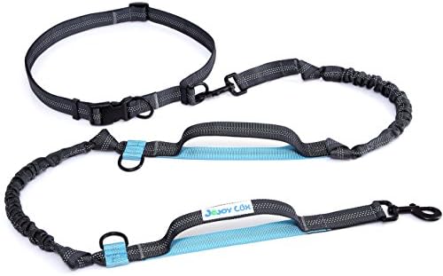 Retractable Hands Free Dog Leash with 2 Extendable Bungees - 2 Handle Easy Control - Shock Absorbing Bungees w/ Adjustable Belt Fits up to 49 inch Waist & up to 150 lbs Dogs, Blue / Green Color