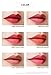 LABIOTTE Chateau Wine Lip Tint [VELVET] 6g (PK01 SAINT ROSE)